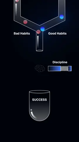Discipline is the filter between where you are and where you want to be. Every day, you choose, let bad habits slow you down or focus on good habits that build momentum. Success comes from making the right choice, again and again, even when it’s hard.