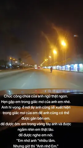 Chúc công chúa của anh ngủ thật ngon. Hẹn gặp em trong giấc mơ của anh em nhé. Anh hi vọng  ở nơi ấy anh cũng sẽ xuất hiện trong giấc mơ của em để anh cũng có thể được gần bên em. để được ôm  em trong vòng tay anh và được ngắm nhìn em thật lâu. để được nghe em nói. 