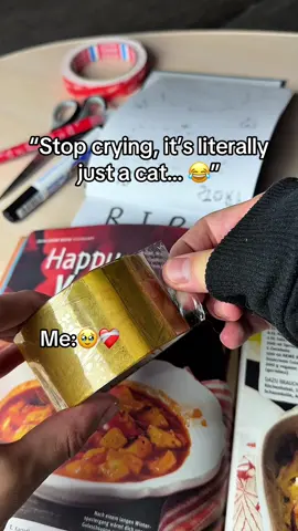 It’s not just a cat 🥹