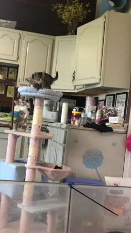 He said Weeeeeee!