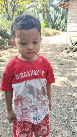 mocom Soni gaya ni berekkon