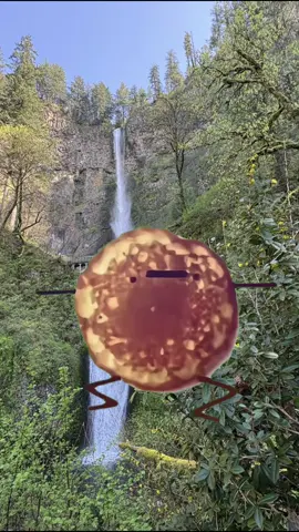 💚 THIS IS A SIGN FROM THE PANCAKE OVERLORD 💚 You deserve pancakes- Now go have someone make you some pancakes.  Treat yourself, you’re awesome 