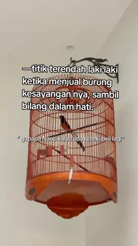 😊😊 #burungmurai  #burungmuraibatu  #kicaumania #kicaumaniaindonesia  #fyp #madiun24jam 