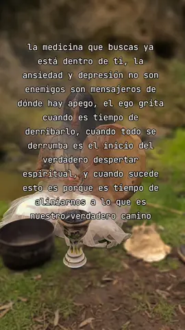 La ansiedad y depresión no son enemigos son mensajeros de dónde hay apego, el ego grita cuando es tiempo de derribarlo, cuando todo se derrumba es el inicio del verdadero despertar espiritual, y cuando sucede esto es porque es tiempo de alinearnos a lo que es nuestro verdadero camino. . . . #cholula #TikTokEsotérico #WitchTok #vibracion #mensajespositivos #rituales 