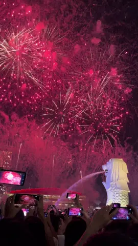 singapore national day 2025, happy birthday singapore yg ke 60 #ndp2025 #nationaldaysingapore 