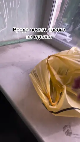 @викусяя💋💋  