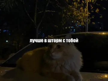 трек в тгк: lyricsulya //Дожди - Эсчевский, 4atty aka Tilla #текстпесни #lyrics #щп #song 