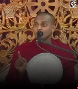කඩි කාලා මිනිස්සු මැරෙනවා ,නයි කාලා මිනිස්සු බෙරෙනවා ! ☸️🙏🤍 පුජ්‍ය කත්නොරුවේ සිරිධම්ම හිමි  ©video credit :- Youtube  . #foryoupage #anandahamuduruvo #viral #foryou 