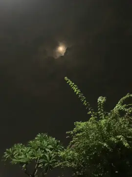 যদি কখনও নিজেকে একা মনে হয় তখন চাঁদের দিকে তাকাবে দেখবে চাঁদ তোমাকে একাকিত্ব দূর করে দিবে ..!😊🌙#foryou #foryoupage #vairalvideo #avibaroi3 #unfrezzmyaccount #avibaroi2007 #tiktok #vaira @TikTok Bangladesh @TikTok 