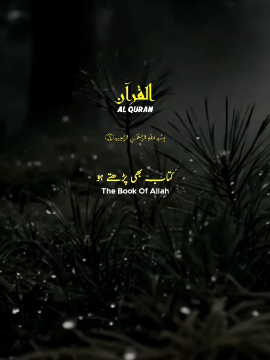 Surah At Tawbah, verses:65-66 Surah Al Baqarah, verse:44♥️💫 #peace #sound #quran_recitation_143 