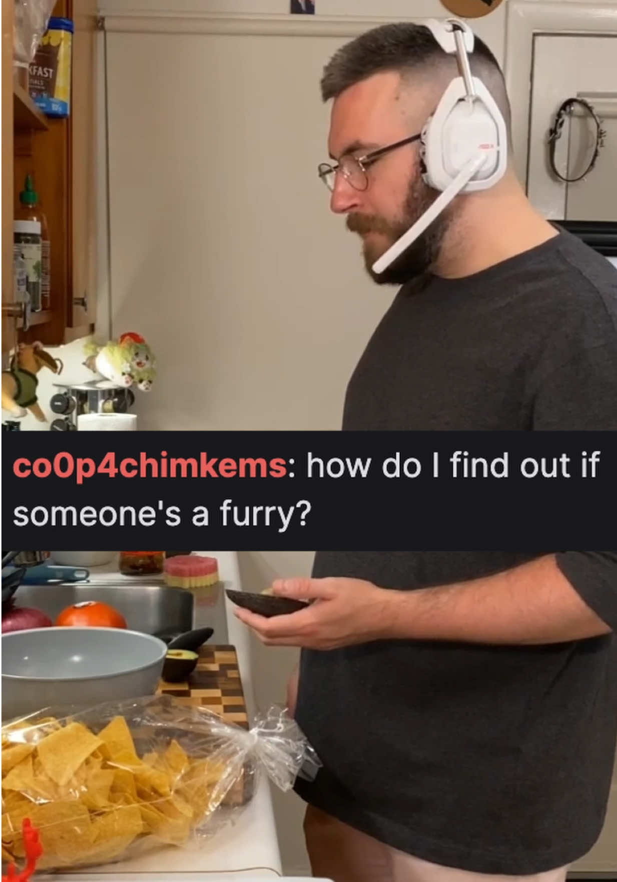 How to tell if someone’s a furry… 👀🤣 #barleytheburr #furry #twitch #funny #bear 