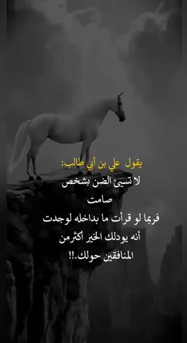 يقول علي بن أبي طالب #fyp #you #اعادة_النشر #اكسبلورexplore❥🕊 