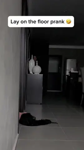 Lying on the floor prank 😂😂#scare #scared #scareprank #prank #trending #viral #fun #funny #fyp #foryoupage #challenge #challenge #couple #family #jumpscare 