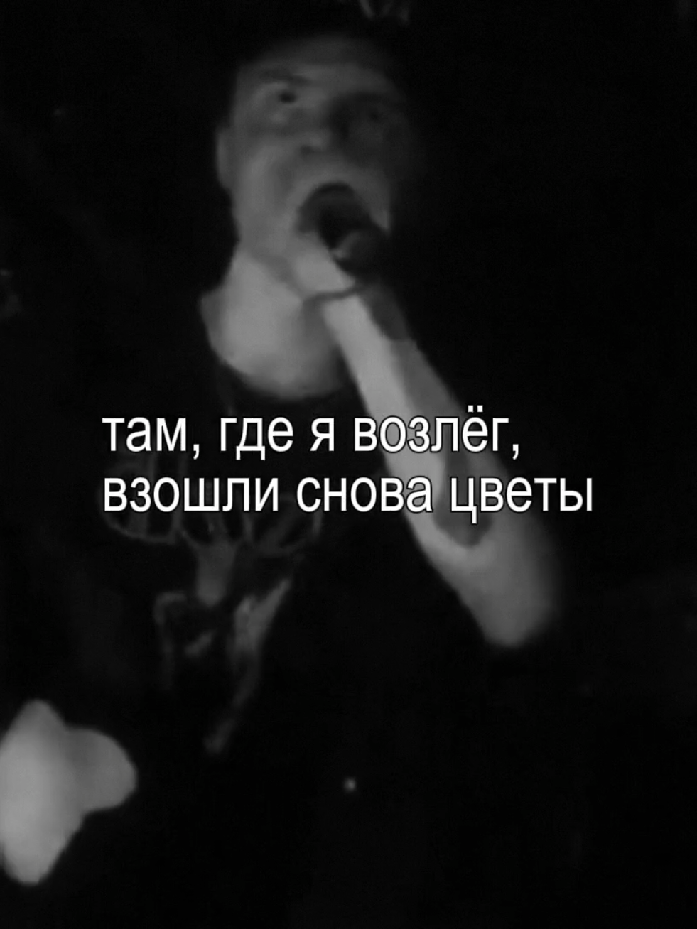 #фараон #pharaoh #глебголубин #coldsiemens #deaddynasty♻️🖤 #фараонpharaoh #PHARAOH #рекомендации #fyp #fypシ #рек #глобальныерекомендации #рекомендации 