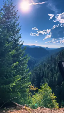 Sometimes just stepping outside can recharge your connection to absolutely everything while freeing your mind. #morningaffirmations #natureheals #naturetherapy #epicviews #naturelovers #forrest #mountainviews 