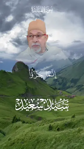 إنما جزاء الذين يحاربون الله ورسوله...#السيد_سعيد رحمه الله من #سورة_المائدة #صدقه_جارية #BMW #SHORTS #quran #آرح_مسمعك_بالقرآن #كنوز_القرآن 