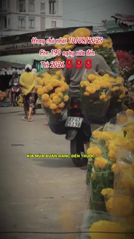Năm nay về ăn tết với ba mẹ nha mn. Còn 190 ngày nữa thôi..! #nhachaymoingay #tet2026 #nhacxuan 
