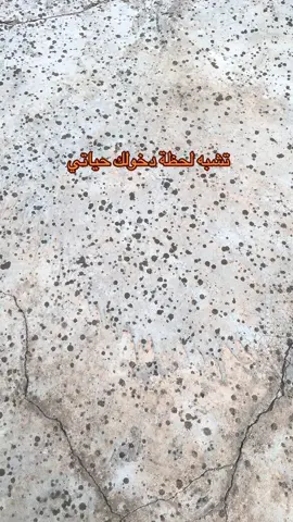 #fyp #tiktok #foryou #ترند #ترندات_تيك_توك #الشعب_الصيني_ماله_حل😂😂 #Taif #اكسبلور #explore 