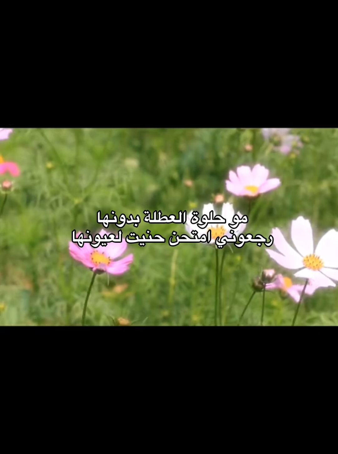 #اقتباسات #عبارات #lovequotes #sadquotes #foryoupage #Spidey #كلمات 