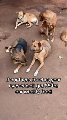 Please help