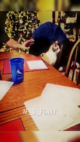 Best Funny Videos Compilation 2025 😂 | Try Not to Laugh Challenge #funny #funnyvideo #funnyvideos #funnyclips #funnyshorts #funnyanimals #funnycats #funnydogs #funnyfails #funnymemes  #funnycomedy #funnymoments #funnyreaction #funnykids #funnyreels #funnyjokes #funnyposts #funnyedits #funnycontent #funnylife #funny2025 #funnyviral #funnytrend #funnychallenge #funnymemes #cat #cats #catsoftiktok #catlover #cattok #catmom #dogsoftiktok #dog #dogsoftiktok @👑_funny_🔥_Video_👑 