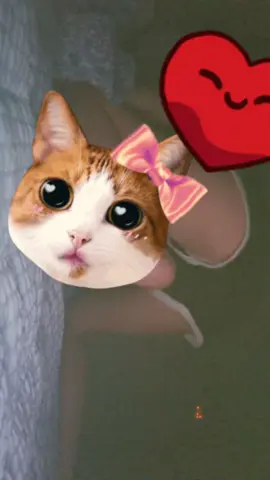 뒷고양이인가 뭐시기 완료