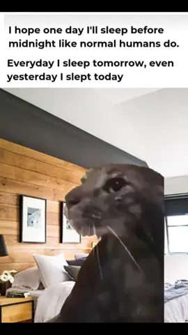 😴 #memecut #memestiktok #funnytiktok #foru 