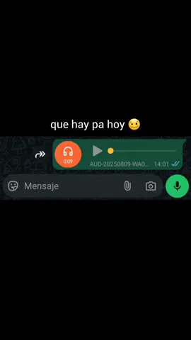 #audiosdewhatsapp #fyp #viral #sabado #audiosvirales 