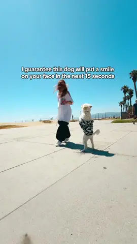 Bon Bon never misses 🐶🥹