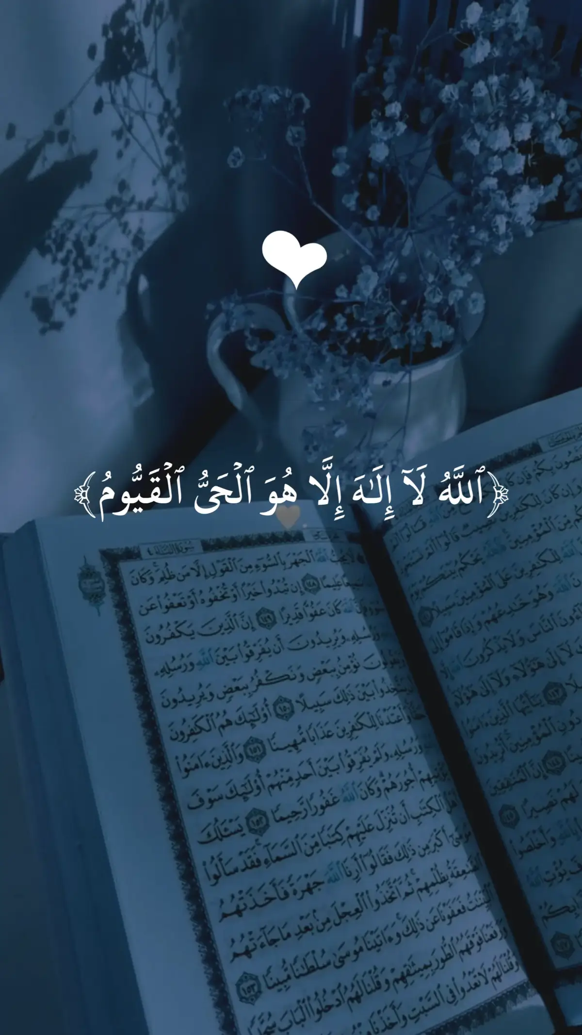 #al_quran_القرآن #AL_QURAN  #tilawat_e_quran #راحة_نفسية #islamic_video #راحه_نفسيه🖤🎧  #قران_كريم            #﴾♡﴿ 