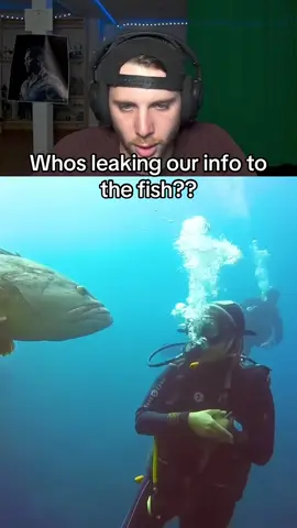 Twitch: Only1Hof #fyp #reaction #animals #fish 