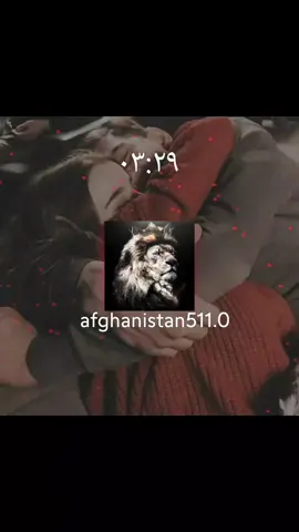#afghanistan511  #فیروزکندزی همراهی نازیه اقبال #افغانی_تیک_تاک  #viral #foryou  #100kviews #fyp  #foryourpage  #viraltiktok #
