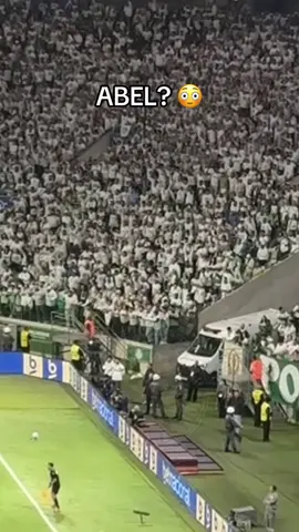ABEL? 😳 #palmeiras #abel #torcida #palestra #allianz 