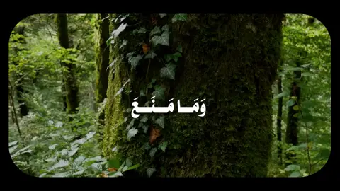 الشيخ سعود الشريم حفظه الله  . (القالب من تصميمي) . #CapCut #قرآن #quran #islamic_video #سعود_الشريم #الشريم #حفظه_الله #قرآن_کریم #الحرم_المكي #viralvideo #foryoupage #foryou #fyp #viral 