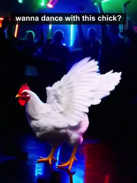 bro? 🐓  #chicken #dancing #meme #memes #housemusic 