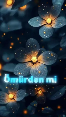 🧚‍♀️Bir kuş gibi uçtu ömrüm..🕊️🤍#CapCut #tutkumsunsen #müzik #lyrics #ömerberber #birkuşgibiuçtuömrüm #trend #viraltiktok #şablon 