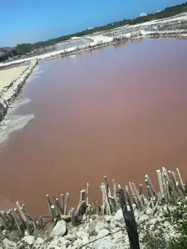 The salt flats are made up of shallow ponds where seawater evaporates, leaving behind salt crystals. The pink color is due to the presence of salt-loving algae and bacteria that thrive in these conditions.  Salt Harvesting: Locals have been harvesting salt from these lagoons for thousands of years using traditional methods.  Xcambo Ruins: The nearby Xcambo archaeological site was once a major center for salt trade in the Mayan civilization. #saltflats #saltcrystals #salttrade #lagoon #lagoons 