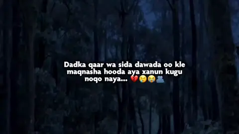 Halka kuwa qaarna 😭💔 #fypシ #fypviralシ #foryoupage #foryouvideo #สโลว์สมูทสปีดสโลว์ 