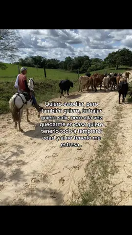 #ganadería 