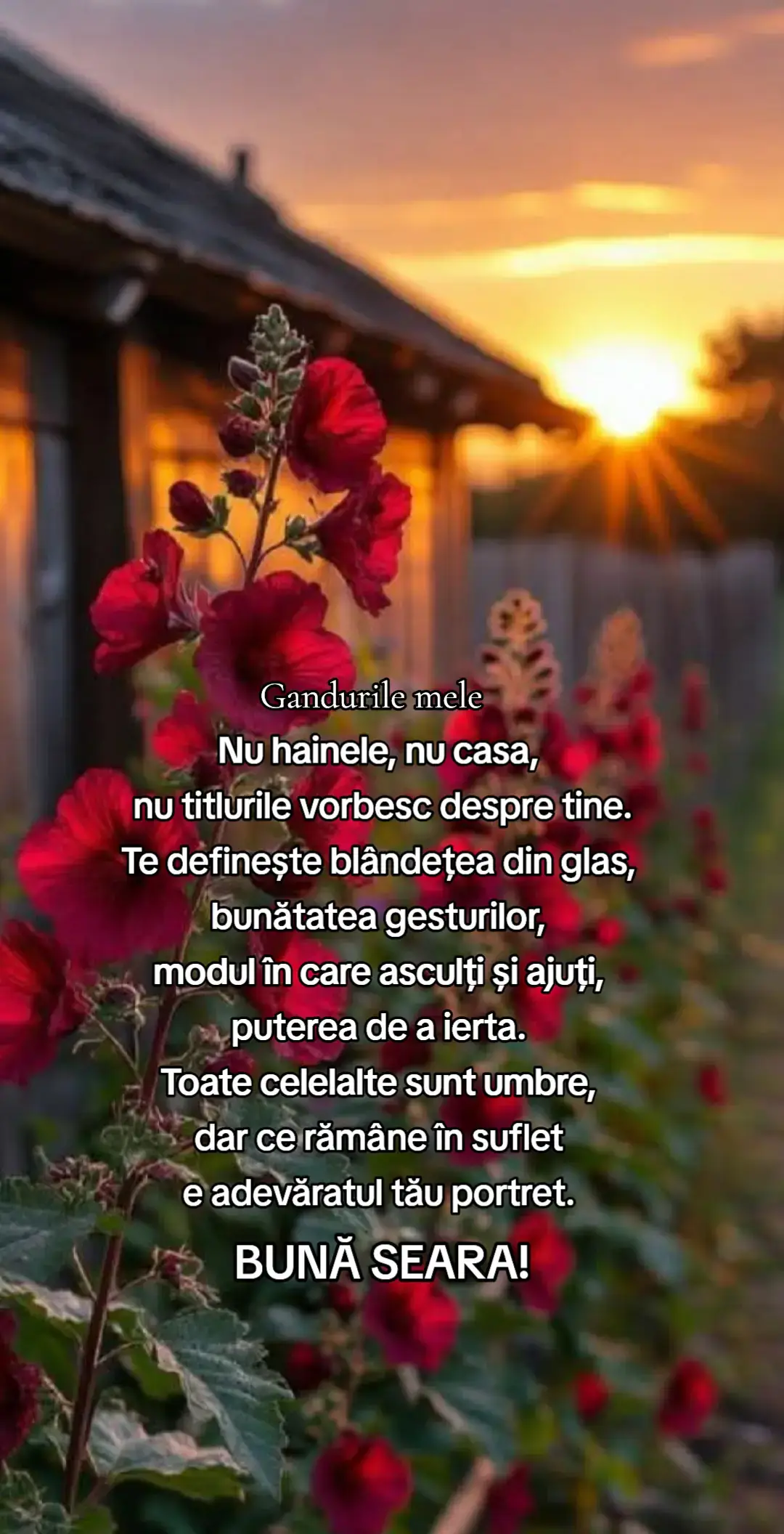 #gandurilemele 