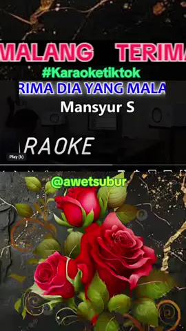 TERIMA DIA YANG MALANG #karaoketiktok