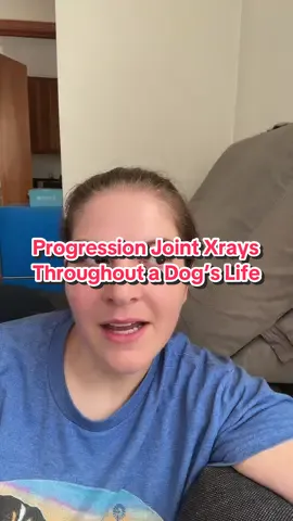 Health testing is a must, however, due to personal experience, I am now very pro progression xrays at certain intervals throughout the dog’s life to review how their joints degenerate or hold up. I believe this is vital information for the long term and breeding. #canineeducation #healthtesting #breedhealthtesting #ofa #pennhip 
