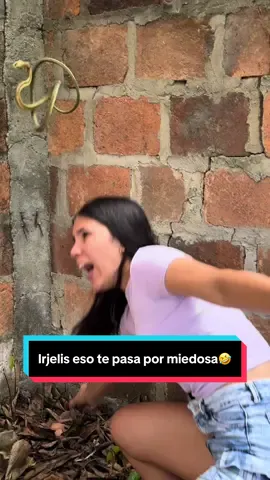 Irjelis te asustaste con una serpiente de plástico🤣 #humor #parati