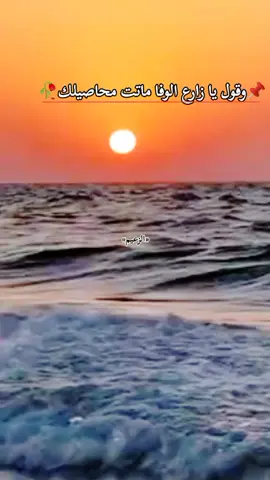 يازارع الوفا ماتت محاصيلك #foryou #جبراتت📮 #عبارات_حزينه💔 #غروب_الشمس #foryoupage❤️❤️ 