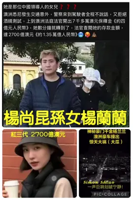 #楊尚昆不止一孫啊；才一個孫女就有富可敵國的財富；那其他成員呢？