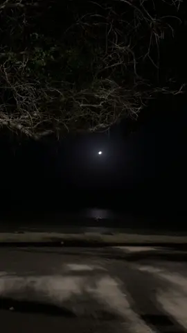 مساء الخير 🤍🥀🚶🏻‍♂️🚶🏻‍♂️