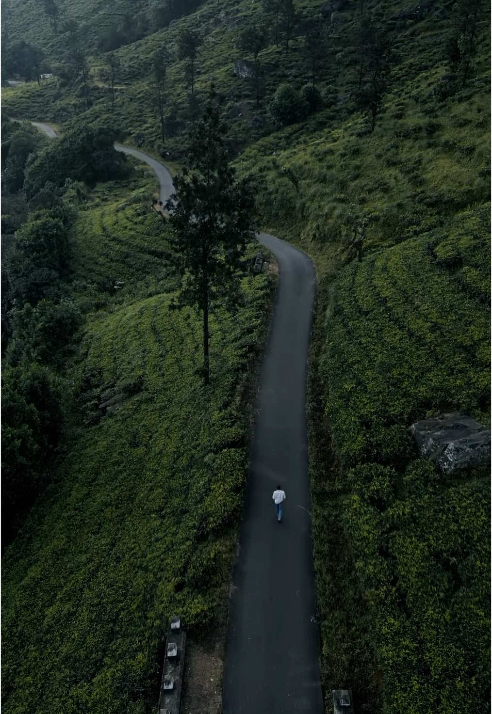 ආදරේ කියන්නේ මේකයි කියලා මට දැනුණු විදිහට මම කරපු දේවල් ගොඩයි නමුත් දැන් ඒ ඔක්කොම මාව රවටපු මගේම හිතළු වෙලා ඉවරයි හැඟීම් වලට ලොකු බරක් ඉතිරි කරලා මේ හැමදේම දැන් අවසානෙකට ඇවිල්ලා සිදුවීම් ගොඩක් එකින් එකට එක දෙයක් වටා කාලයක් තිස්සේ සිද්ද වෙද්දි මං ගොඩක් දේවල් විශ්වාස කරා මේ හැමදෙයක්ම එකම තැනකට යාවුනත් අවසානයේ දිගින් දිගටම මාත් එක්ක පොරබැදුවේ ඒ හැමදේකම තනි වැරැද්ද මට බාරගන්නයි දිගින් දිගටම මටත් සිද්ද උනේ පරාජය බාරගන්න මිසක් දිනුම අරන් පැත්තකට වෙන්න නෙමෙයි කාලෙන් කාලෙට වසන්තට දලු දැම්මත් කවදාවත් මලක් නම් පිපුනේ නෑ දසත පුරා සුවඳ දෙන වසන්තයේ පිපුණු මල් යායක එයත් එක්ක ඇවිදින්න මං තාමත් හීන දකිනවා මට ගොඩක් දේවල් දැනුනත්  දැන් ඒ දේවල් කරන්න යන්න මට බයක් තියෙනවා ළංවුණු හැමකෙනෙක්ම තියලා ගියපු පාසටහන් මැකෙන්නේ නැති තරමට ගැඹුරුයි ඇස් දෙක වැහෙන ප්‍රමාදෙට දිස්වෙන සේයාවනුත් ගොඩයි හැමදෙයක්ම ඉවර උනත් මාත් මගේ හිතත් තාමත් ඉන්නවා !! -Caffeine Cabin - #fyp #foryou #foryoupage #quotes #kasunkalhara #ithinnubathawaduragiyothin #palampitiya #srilanka #creatorsearchinsights #viral 
