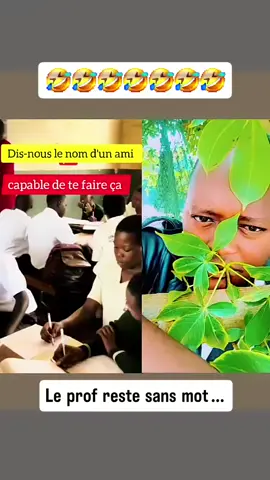 #nature #funny #view #debloquer #visibilité 