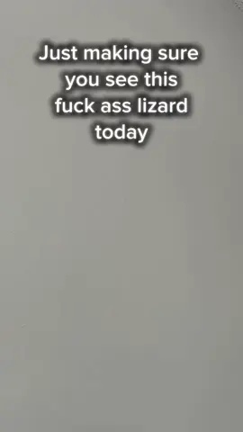Your daily #lizard post #fyp 