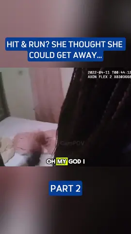 Woman Thinks She Can Hit & Run From The Police With No Consequences